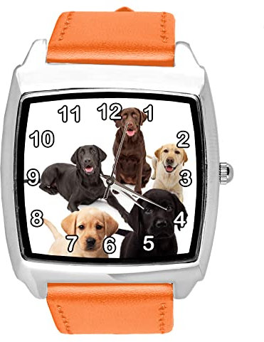 TAPORT® Quarz-Armbanduhr für Labrador-Fans, Leder, quadratisch, Orange