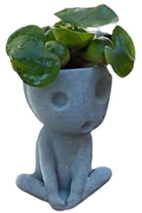 Tianbi Vaso da fiori per la testa, vaso luminoso per il viso, vaso per cactus, grazioso vaso per piante grasse in resina con foro di scarico, per decorazioni per la casa e l'ufficio