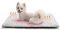 MORA PETS Self Heating Cat Bed Heated Cat Blanket Self Warming Pet Pad & Mat with Removable Cover Non-Slip Bottom Washable - 74 x 47cm