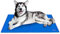 Ownpets 120x80CM große Kühlmatte für Hunde/Katzen, Kühlkissen, Kühl Hundedecke, Ungiftiges Kaltgelpad, Selbstkühlende Matte, Blau (XXL, Kein Muster)