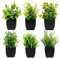 Royouzi 6 Piante Artificiali, Mini Piante Artificiali, Piccole Piante Artificiali In Vaso, Vasi da Fiori Artificiali, Adatte per Arredare Uffici, Camere da Letto, Terrazze, Soggiorni e Bagni