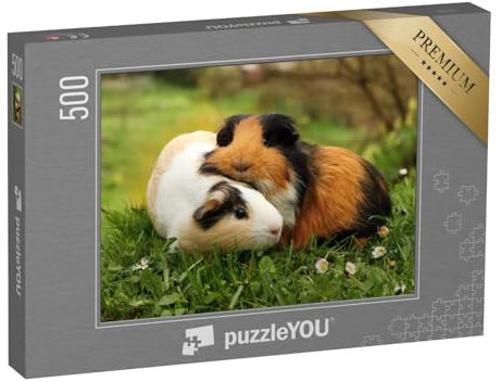 puzzleYOU: Puzzle 500 Teile „Meerschweinchenfreunde“ – aus der Puzzle-Kollektion Meerschweinchen