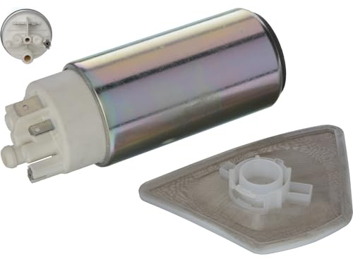 DELPHI FE0779-12B1 Kraftstoffpumpe Kompatibel mit HYUNDAI GETZ TB, KIA SPORTAGE JE, KM