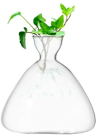 QENETY Avocado Seed Growing Vase, Vase zum Anpflanzen von Avocadosamen, Glasvasen, Avocadobaum-Anzuchtset, Avocadovase aus Glas, Hydrokulturvase für Samen
