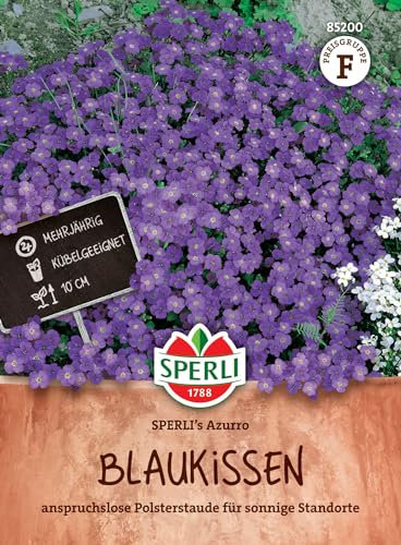Sperli SPERLI's Azurro - Semi di fiori perenni per giardino roccioso, altezza di crescita 40-60 cm, ideali per aiuole e vasi, imbottitura a fioritura precoce