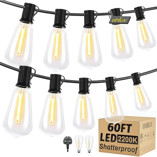 OHLUX Mains Powered Festoon String Lights, 32 ST38 LED Edison Bulbs, 60FT