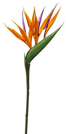 artplants.de Künstliche Blume Strelitzie ZETKIN, orange - violett, 65cm - Kunst Paradiesvogelblume