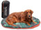 Furhaven Outdoor-Reise-Hundebett für große/mittelgroße Hunde mit Tragetasche, waschbar und faltbar, ideal für Kisten und Zwinger – Trail Pup Reisekissenmatte mit Packsack – orange-tarngrün
