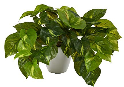 Nearly Natural 9in. Pothos Artificial Plant in White Planter (Real Touch)
