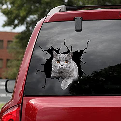 Ocean Gift Adesivi per auto British Shorthair, adesivi per auto con gatto, confezione da 2 – adesivi realistici British Shorthair per finestrini auto, pareti, serie 120, dimensioni 25,4 x 25,4 cm