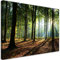 Feeby Impression sur Toile Intissee Arbres Forêt Nature 60x40 cm Tableau Moderne Tableau Photo Chambre à Coucher Plantes Litière Rayons de soleil vert