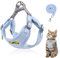 Katzenleine Set, Polyester Verstellbares Katzengeschirr Mit Leine, Ausbruchsicher für Kitten Und Hunde (Blau -S)