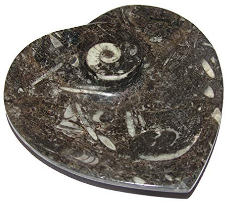 Janni-Shop-Geschliffene Formen Orthoceras Herz Schale Seifenschale mit versteinertem Fisch ca. 10 x 10,5 cm