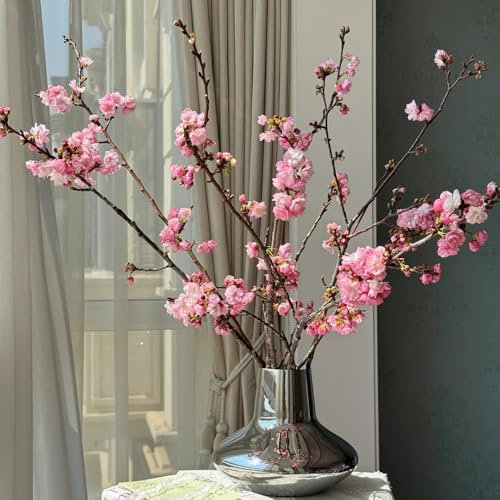 Kirschblüten Bonsai Samen, baumsamen kaufen Kirschblütenbaum Samen, bonzai baum samen winterharte balkonpflanzen steingartenpflanzen winterhart gartenpflanzen winterhart mehrjährig 5pcs