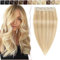 SEGO Haarteil Clip in Extensions Echthaar DICKER Haarverlängerung 1 Tresse 5 Clips Human Hair Glatt Honigblond/Hellblond #18p613 22(55cm)-100g