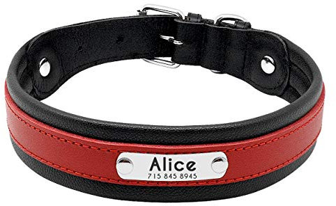 Pet Artist Hundehalsband aus Leder, mit Namensschild, personalisierbar, für große Hunde, Größe M/L/XL in Schwarz, Blau, Braun, Hot Pink, Rot und Lila