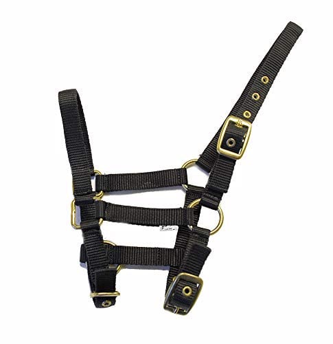 Rhinegold Nylon Foal Headcollar - Black