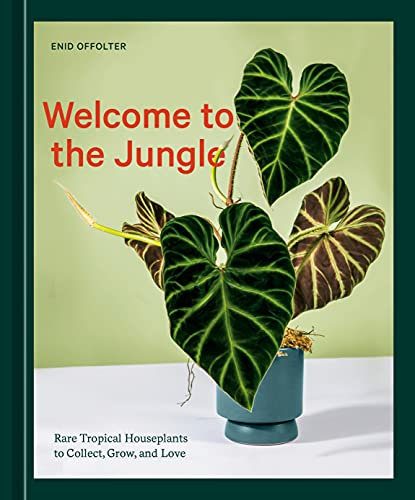 Welcome to the Jungle: Rare Tropical Houseplants to Collect, Grow, and Love (English Edition)