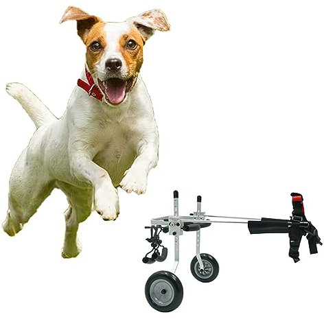ASHILD Haustier-Kinderwagen für mittelgroße und kleine Hunde, Hunderollstuhl für Dackel mit Hinterbeinen, Verstellbarer 2-Rad-Hundewagen/Rollstuhl, einfach zu verstauen (Größe: Größe Xs stärken)