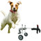 ASHILD Haustier-Kinderwagen für mittelgroße und kleine Hunde, Hunderollstuhl für Dackel mit Hinterbeinen, Verstellbarer 2-Rad-Hundewagen/Rollstuhl, einfach zu verstauen (Größe: Größe Xs stärken)