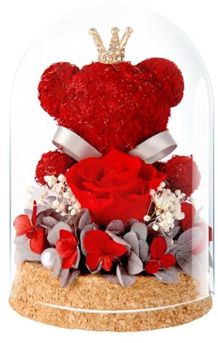 DoraMagic Eternal Rosen Teddybär Geschenk für Sie, Ewige Rose in Glasglocke mit niedlichem Bär für Freundin, Mutter, Ehefrau, Oma zum, Geburtstag, Jahrestag Geschenk, Valentinstag (Rot)