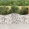 INLIFE Gabion avec arc haut 200 x 50 x 80/100 cm, fer galvanisé, 22 kg, 153394