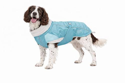 Spirit Softshell Hundemantel Pacific – Warmer, wasserabweisender Wintermantel für Hunde mit Fleece-Futter, reflektierend, verstellbar, Leinenöffnung, türkis (45cm)