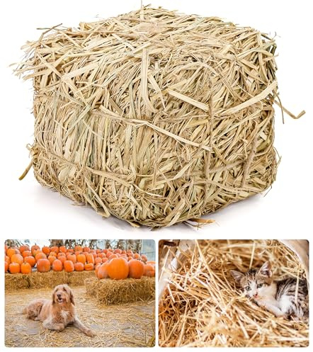 PetPhindU Natural Straw Bale for Cat Shelter, 8 X 8 X 8 Inch Soft Dry Straw Bedding for Cats Feral Cats and Small Animals, Decorative Hay Bale for Outdoor Use Farm Decor Garden Straw and Pet Bedding