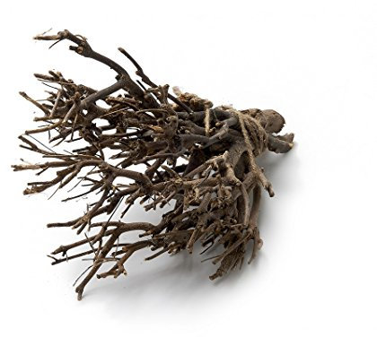 NaDeco Dekobündel John Branch Natur ca. 35cm 0,5kg Murraya Koenigii Currybaum Zweige Dekozweige Dekoäste Deko Bündel Holzdeko Dekobäume