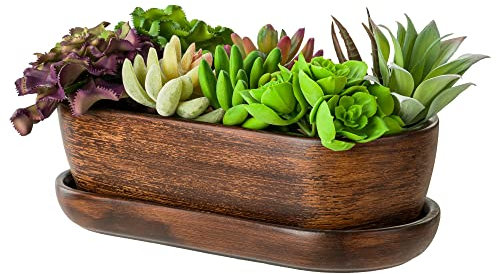 Pot de fleurs en céramique - Bol de cactus - Dessous de verre - Trou d'eau - Cactus - Bonsaï - Plantes succulentes (ovale, marron foncé)