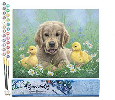 Figured'Art Peinture par Numéro Adulte Labrador et poussins - Activité Manuelle Kit de Loisir Créatif DIY Numéro d'Art Complet - 40x50cm sans châssis en bois