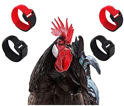 Huhn Kragen Hahnhalsband 4 Stück Hühnern Hahnkragen Anti Haken Einstellbare Verhindert DASS Hühner schreien stören Nachbarn Hühnerhalsbänder