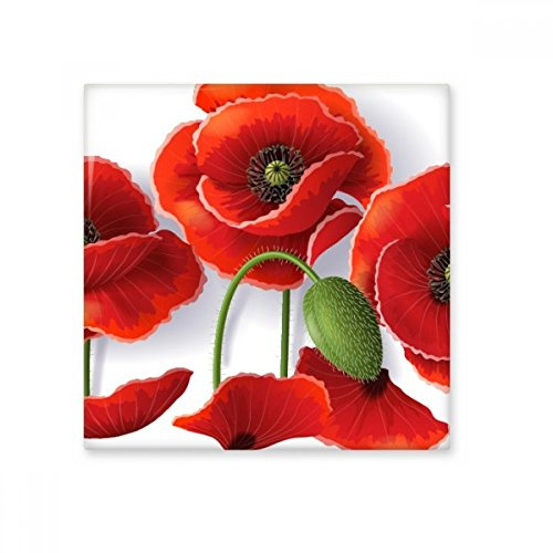 Rojo Flores Pintura Pétalos de amapola de maíz Frutas cerámica crema decoración de decoración de azulejos para baño cocina azulejos de pared azulejos de cerámica