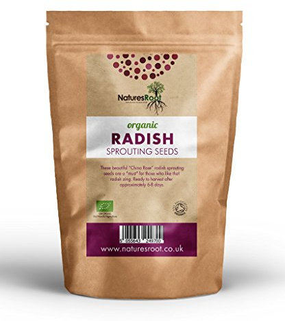 Natures Root Organic Radish Sprouting Seeds 250g (China Rose) - Superfood | Non GMO | Microgreen Sprouts | Garden Planting | Vegetable Gardening