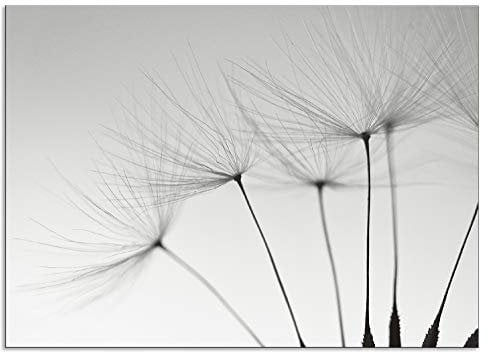 ARTland Spritzschutz Küchenrückwand aus Alu für Küche Herd Spüle 90x65 cm (BxH) mit Motiv Blume Pusteblume Landschaft Natur Zen Modern Hell Grau T5SQ