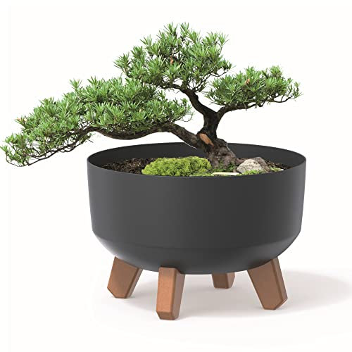 botle Blumentopf an den Füßen Pflanzkübel D 38 cm Anthrazit Kunststoff Töpfe mit Einsatz matt Übertöpfe