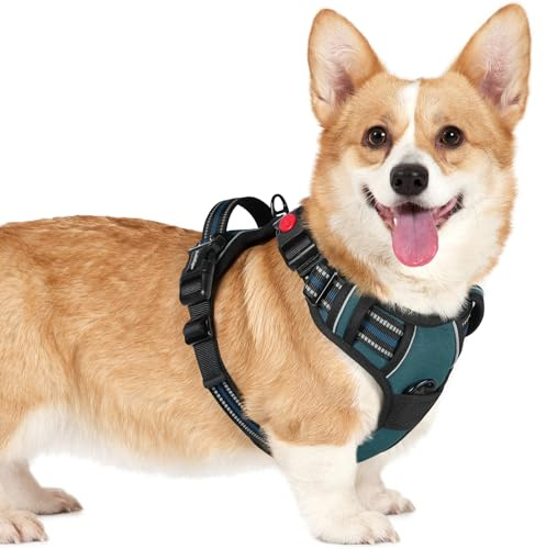rabbitgoo Hundegeschirr Kleine Hunde Leichtes Anlegen, S, Türkisblau | Anti Zug, Ohne Kopfdurchzug, Halsverschluss mit Sicherung, 2 D-Ringe, Weich Gepolstert, Reflektierend für Gassi & Training