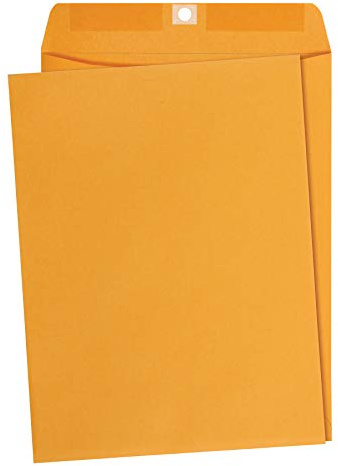 Amazon Basics Clasp Kraft Envelopes for Documents, Gummed Mailing Envelope, 9 x 12, 100-Pack