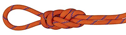 Mammut 9.0 Alpine Sender Dry Kletterseil, Sunrise-Ice, 50m