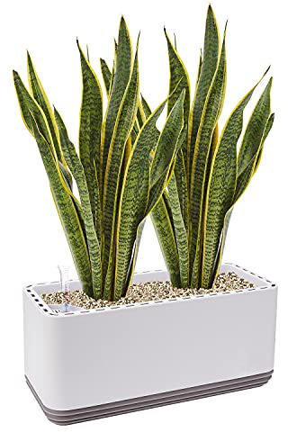 AIRY System L inkl. 2 Bogenhanfe & Airy Base Substrat • Natürlicher Luftreiniger eliminiert Schadstoffe, Allergene & Gerüche • Für Räume mit ca. 30qm • Made in Germany, 3306-603 antikweiss-grau