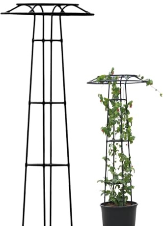 Enrejado de Flores de Paraguas Soporte Vegetal el obelisco,Enrejado for Plantas trepadora,Columna de Escalada for Plantas trepadoras,interior,exterior,Vides,Vegetales ,Frutas ,clemátide(180cm/70.9in)