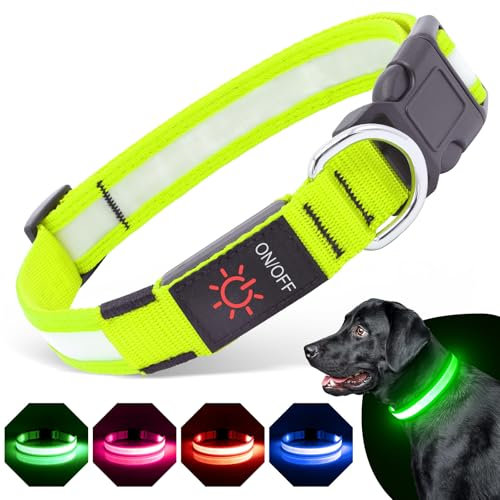 BiPawTi Beleuchtetes LED Hundehalsband Groß, Aufladbar Mit 3 Lichtmodi, Super Hell Leuchtet Im Dunkeln für Nachtspaziergänge - Grün, L