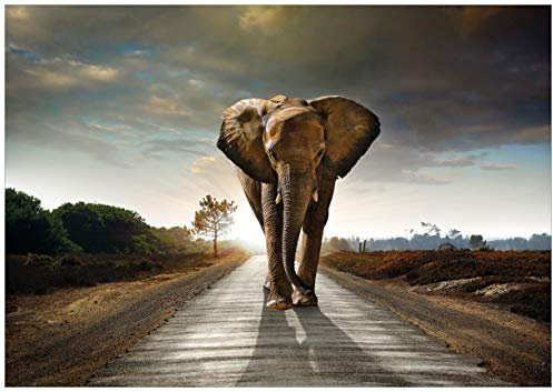 Wallario Wandbild aus Hartschaum, 70 x 100 cm, Elefant bei Sonnenaufgang in Afrika, leichtes Material