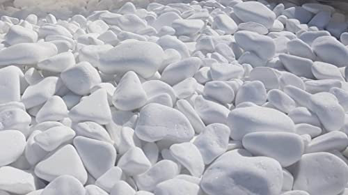 Kleine Steine ​​für den Garten, weiße Dekosteine, Naturstein, Kieselsteine, Dekosteine, Aquariensteine, zum Bemalen, Dekosteine Natursteine Gartensteine Steine zum bemalen 20 kg (8-13cm)