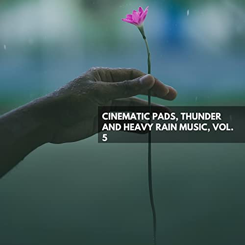 Rural Birds And Cricket Sounds