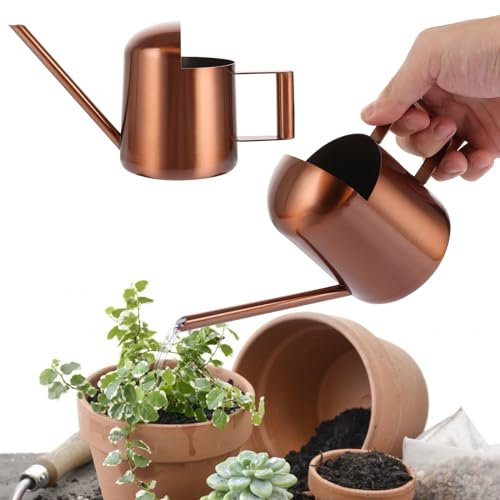 APACALI Regadera pequeña, 300 ml, mini regadera para plantas de interior, pequeña de acero inoxidable, caño largo, regadera de jardín para plantas de interior, bronce