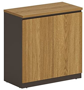Vertikaler Aktenschrank aus Holz mit Drucker-Spind, Schubladen und Schlössern, Büroorganisation und Aufbewahrungslösung für Aktenorganisation, Trennwand und Informationsmanagement, niedriger Schrank,