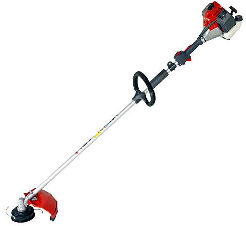 EFCO DECESPUGLIATORE DS 3000SEFCO