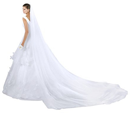 FakeFace 3 Meter Doppelschicht Lange Kathedrale Brautschleier Stickerei Braut Hochzeit Schleier Tüll Spitze Kante Brautkleid Schärpe Deko,Weiß