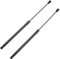 Frankberg 2x Ressorts à Gaz Hayon Compatibles avec 206 2A/C Hatchback 1998-2008 206+ 2L 2M Hatchback 2010-2013 206+ Hatchback T3E 2009-2013 Remplacer# 51023704
